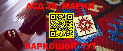 спайс Тара