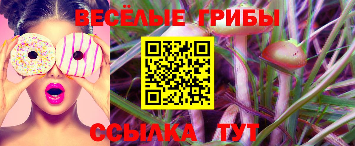 Галлюциногенные грибы Psilocybe  Псилоцибиновые грибы GOLDEN TEACHER  Вход с VPN  Жуковский 