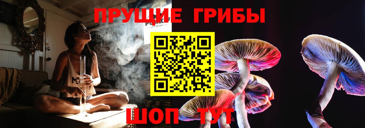 Галлюциногенные грибы Cubensis Жуковский